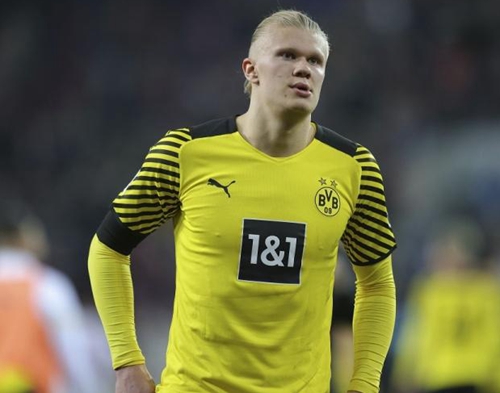 杨毅：CBA公司完全错误判断了经济版权形势 到哪儿谈都撇着大嘴（杨毅批评CBA公司误判版权与经济形势，谈判处处狮子大开口）